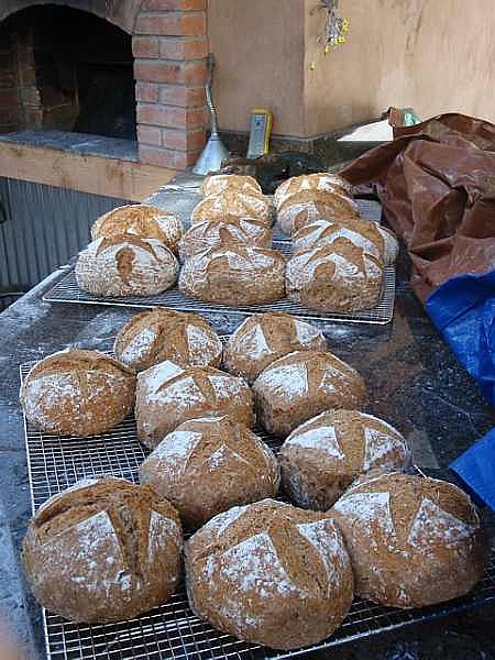 Bread Oven